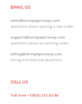 TermPaperEasy.com Support.png